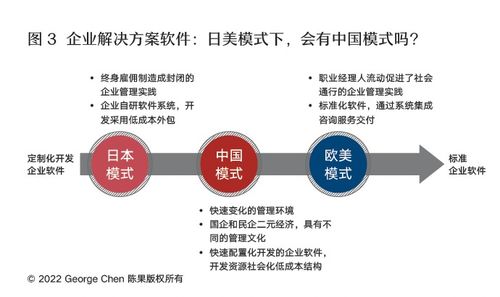 中國(guó)模式 企業(yè)管理軟件的突圍、融合與超越